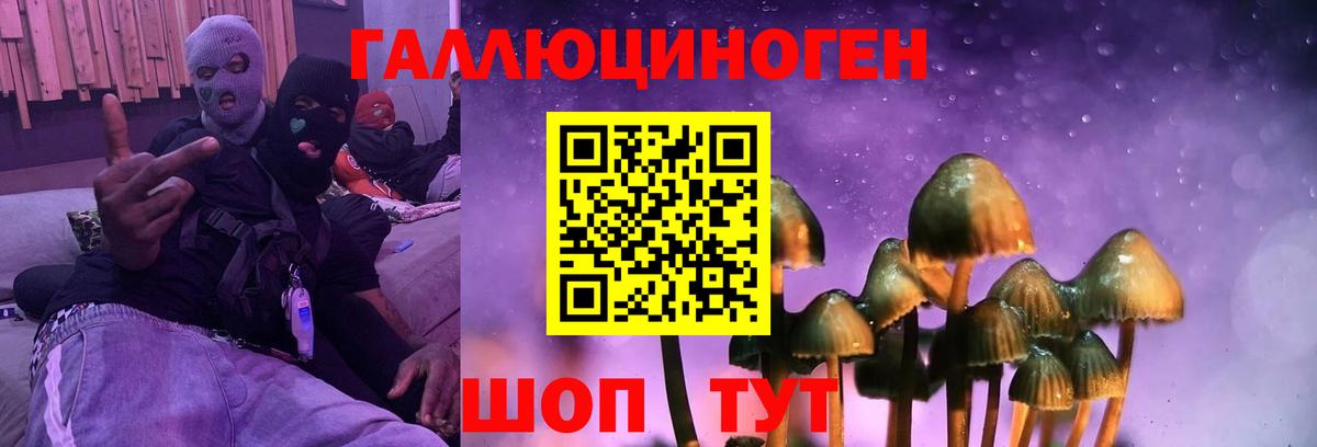 Галлюциногенные грибы мухоморы Серов